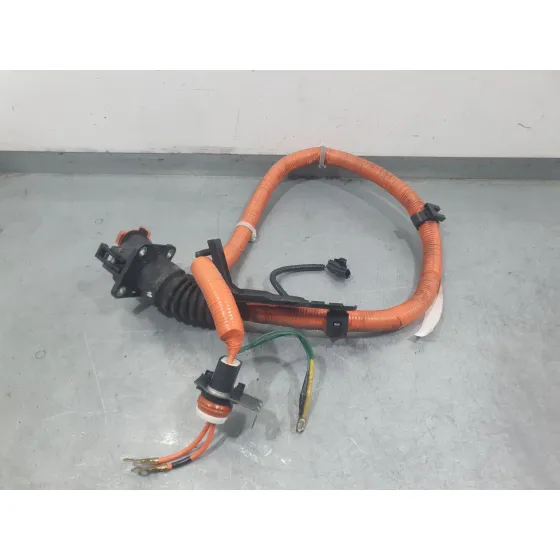 Modulo Electronico para Nissan Leaf (Ze0)