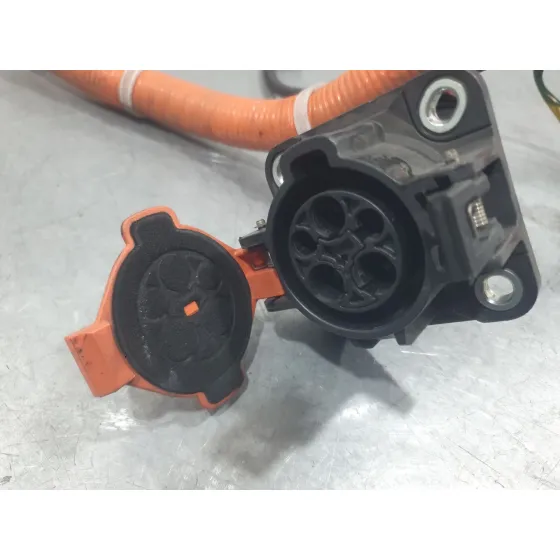 Modulo Electronico para Nissan Leaf (Ze0)