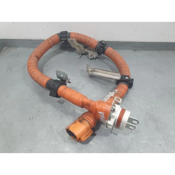 Modulo Electronico para Nissan Leaf (Ze0)