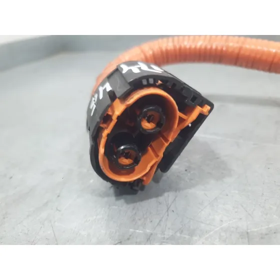 Modulo Electronico para Nissan Leaf (Ze0)