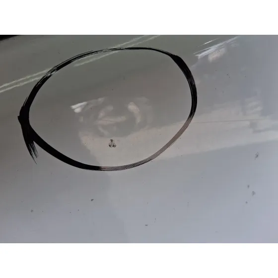 Puerta Delantera Izquierda para Citroën Berlingo Furgoneta/Monovolumen (K9)