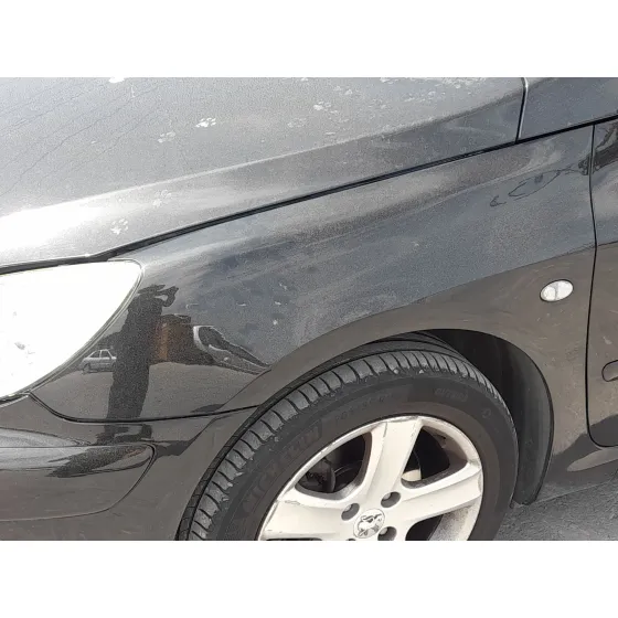 Aleta Delantera Izquierda para Peugeot 307 Cc (3B)