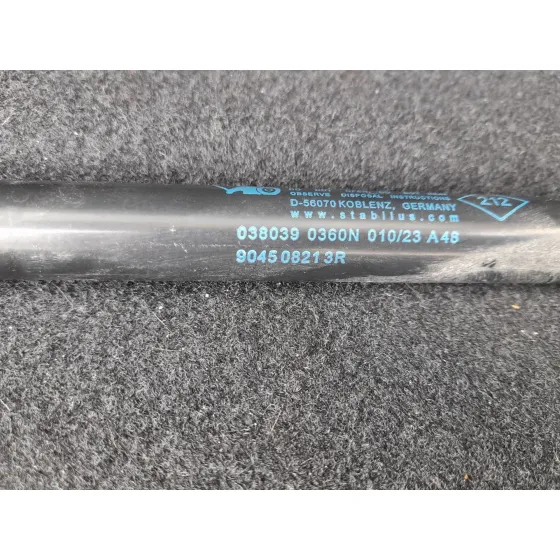 Amortiguadores Maletero / Porton para Renault Clio V (B7_)