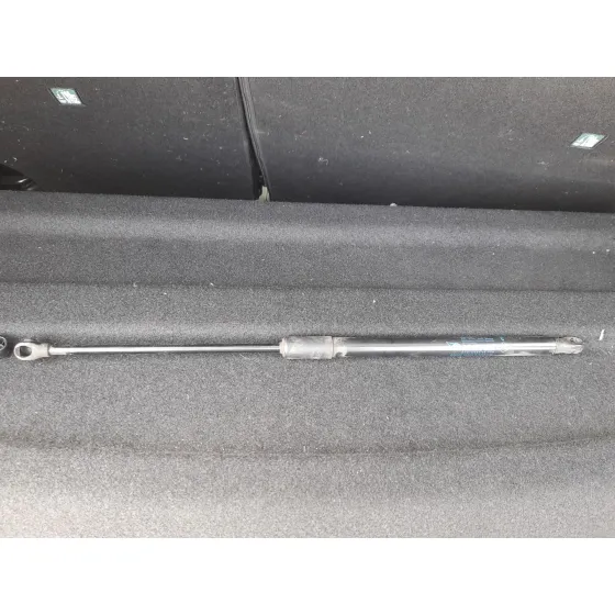 Amortiguadores Maletero / Porton para Renault Clio V (B7_)