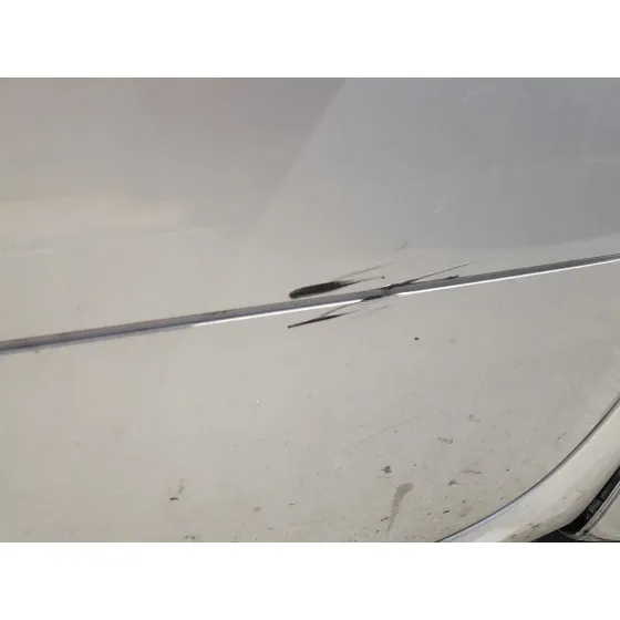 Puerta Delantera Derecha para Smart Forfour (454)