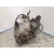 Caja Cambios para Hyundai I40 I (Vf)