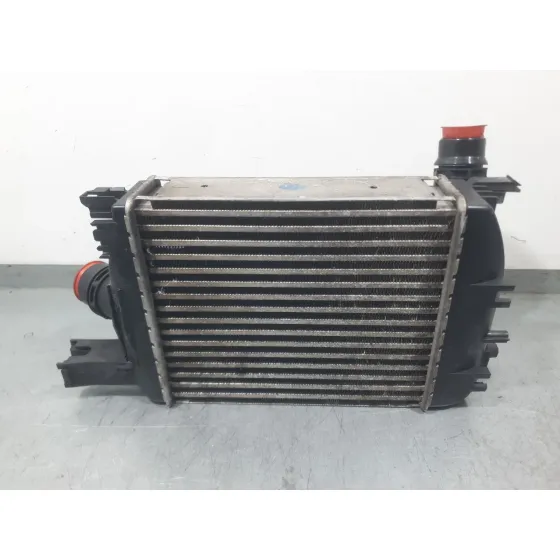 Intercooler para Dacia Lodgy (Js_)