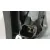 Elevalunas Trasero Derecho para Mg Mg 3 (5Lfp)