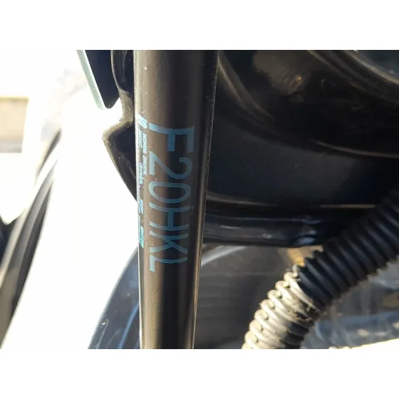 Amortiguadores Maletero / Porton para Bmw 1 (F20)
