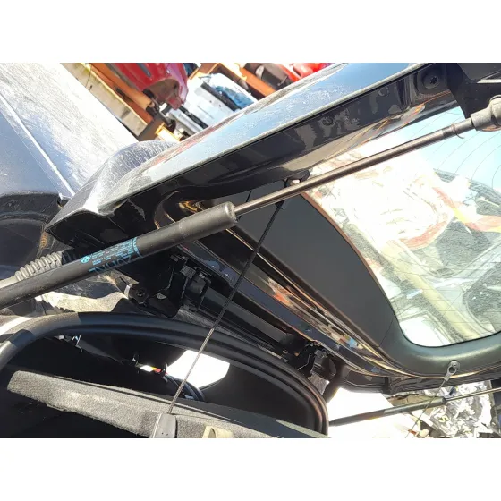 Amortiguadores Maletero / Porton para Bmw 1 (F20)
