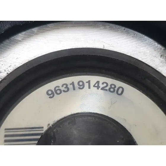 Bomba Direccion para Citroën Xsara Picasso (N68)