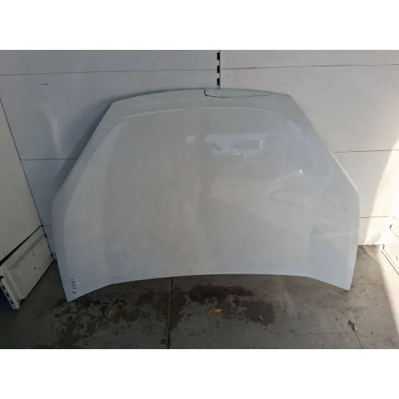 Capot para Fiat Doblo Cargo (263_)