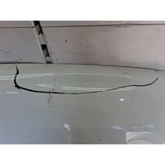 Capot para Fiat Doblo Cargo (263_)