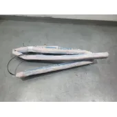 Airbag Cortina Delantero Derecho para Citroën C3 Iii (Sx)