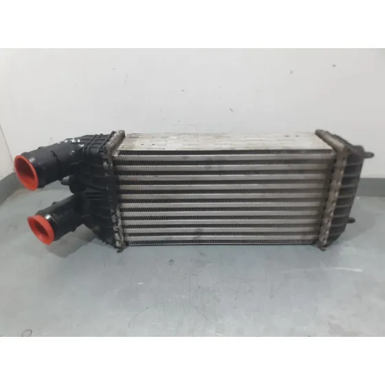 Intercooler para Citroën C3 Iii (Sx)