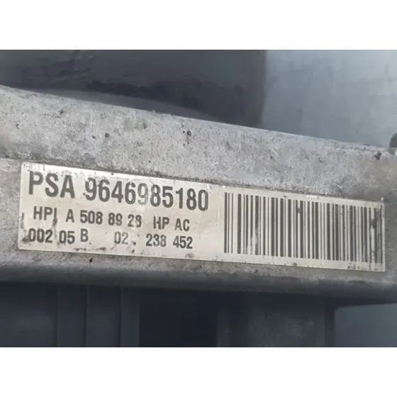 Bomba Direccion Electrica para Peugeot 307 (3A/C)