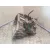 Caja Cambios para Renault Megane Iv Hatchback (B9A/M/N_)