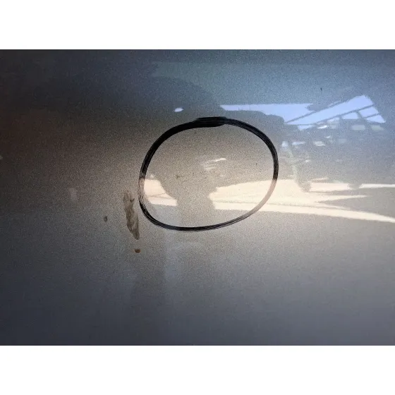 Puerta Delantera Derecha para Citroën C4 Iii (Ba_, Bb_, Bc_)