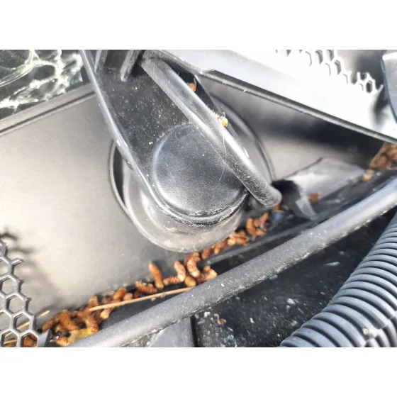 Motor Limpia Delantero para Citroën C5 Aircross (Ac_, Aj_, Ar_, A4_)