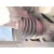 Transmision Delantera Izquierda para Peugeot 308 Sw Ii (Lc_, Lj_, Lr_, Lx_, L4_)