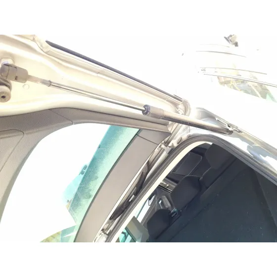 Amortiguadores Maletero / Porton para Volkswagen Tiguan (Ad1, Ax1)