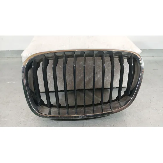 Rejilla Delantera para Bmw 1 (F20)