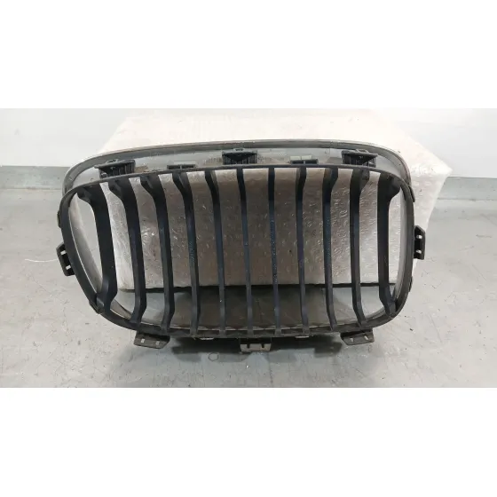 Rejilla Delantera para Bmw 1 (F20)