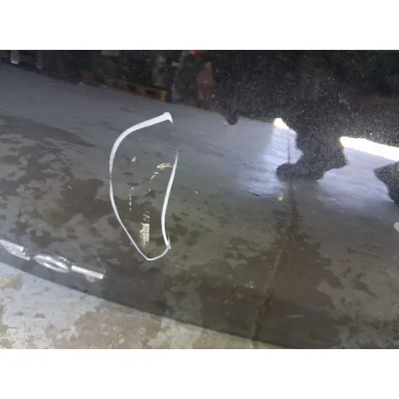 Porton Trasero para Peugeot 3008 I Monospace (0U_)