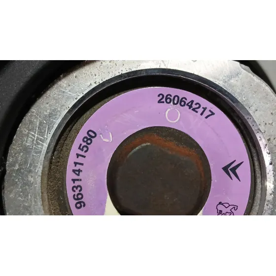 Bomba Direccion para Peugeot 206 Hatchback (2A/C)