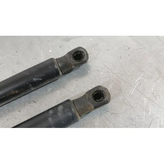 Amortiguadores Maletero / Porton para Land Rover Range Rover Evoque (L551)