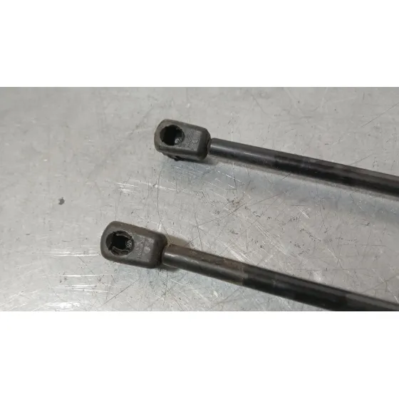 Amortiguadores Maletero / Porton para Land Rover Range Rover Evoque (L551)
