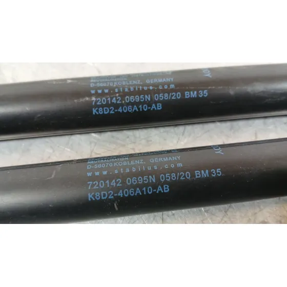Amortiguadores Maletero / Porton para Land Rover Range Rover Evoque (L551)