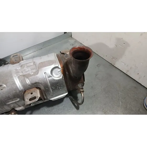 Filtro De Particulas para Citroën C3 Iii (Sx)