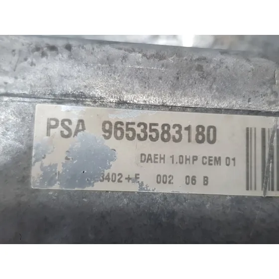 Bomba Direccion Electrica para Peugeot 307 Sw (3H)