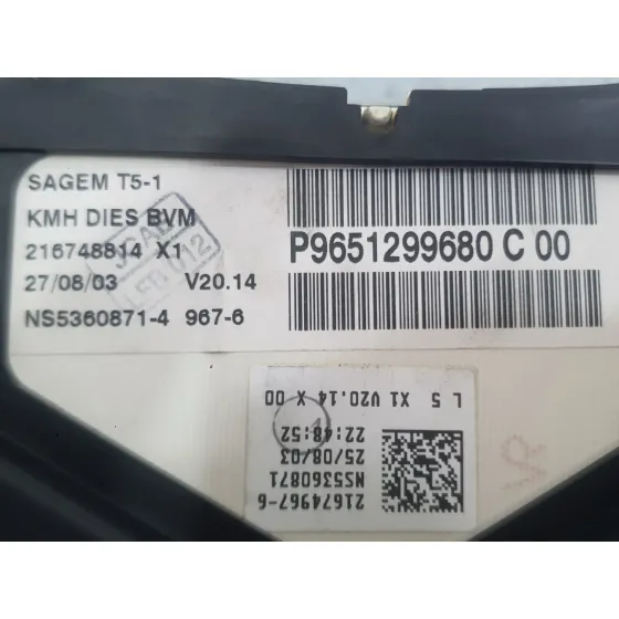 Cuadro Instrumentos para Peugeot 307 Sw (3H)