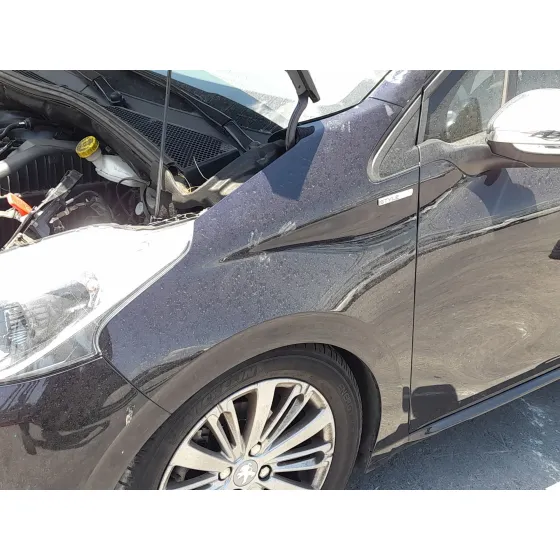 Aleta Delantera Izquierda para Peugeot 208 I (Ca_, Cc_)