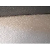 Elevalunas Trasero Izquierdo para Bmw X1 (F48)