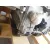 Motor Completo para Opel Astra K (B16)