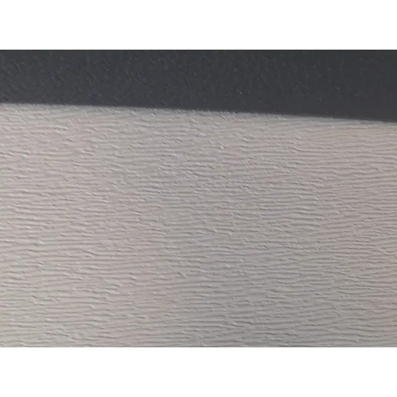 Elevalunas Trasero Derecho para Dacia Lodgy (Js_)