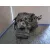 Caja Cambios para Peugeot 2008 Ii (Ud_, Us_, Uy_, Uj_, Ur_, Uc_)