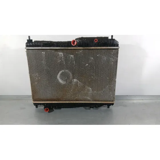 Radiador Agua para Ford Ecosport