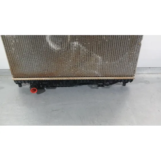 Radiador Agua para Ford Ecosport