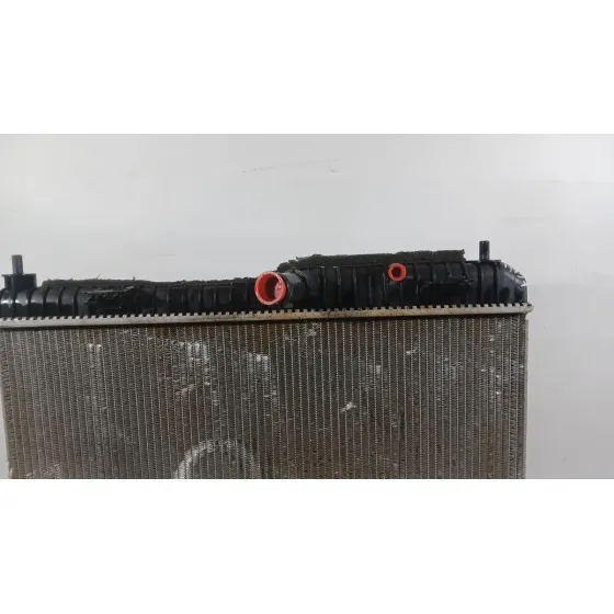 Radiador Agua para Ford Ecosport