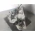 Caja Cambios para Renault Clio V (B7_)