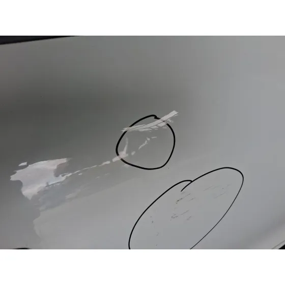 Puerta Delantera Derecha para Renault Clio V (B7_)