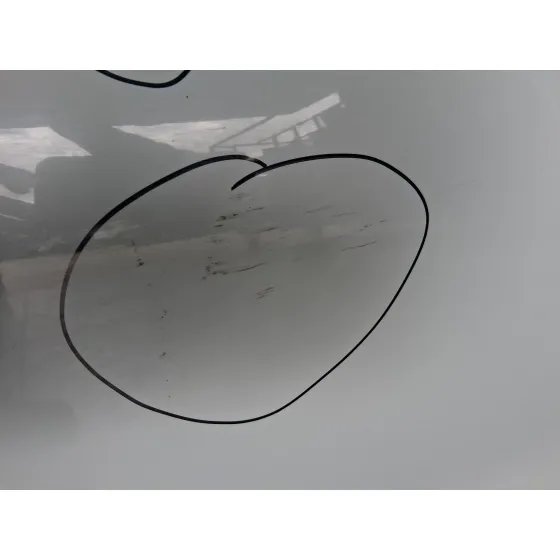 Puerta Delantera Derecha para Renault Clio V (B7_)