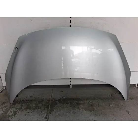 Capot para Renault Scenic Iii (Jz0/1_)