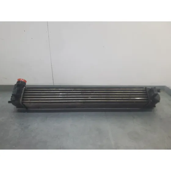 Intercooler para Renault Scenic Iii (Jz0/1_)