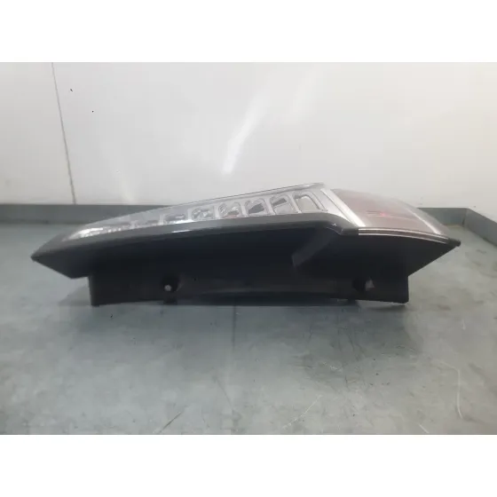 Piloto Trasero Derecho Exterior para Renault Scenic Iii (Jz0/1_)