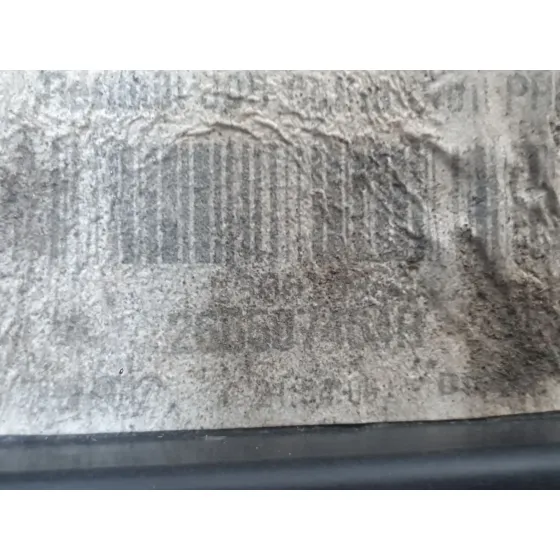 Piloto Trasero Derecho Interior para Renault Scenic Iii (Jz0/1_)